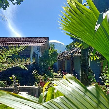 Pondok Bamboo Sendangsari Вонособо Екстериор снимка